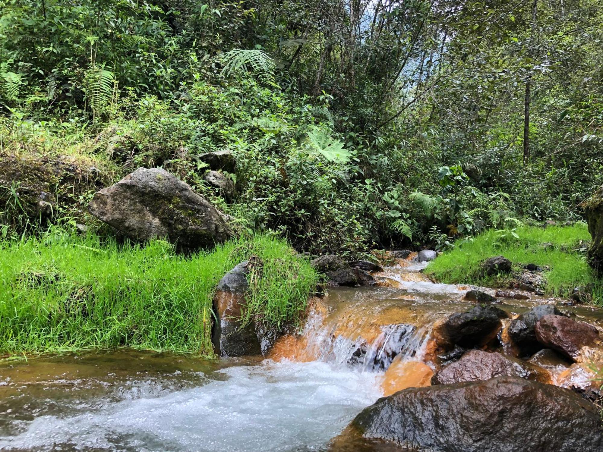 באניוס Mountain Chalet - Tungurahua Hot Springs/Aguas Termales מראה חיצוני תמונה